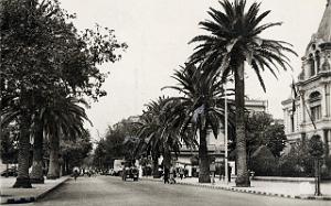 Sidi bel abbes 529- Bd Republique COLLECTION DES AMIS DE ND DE SANTA CRUZ